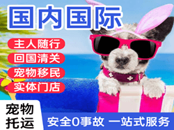 湘西边城空运代理国际宠物托运 【国